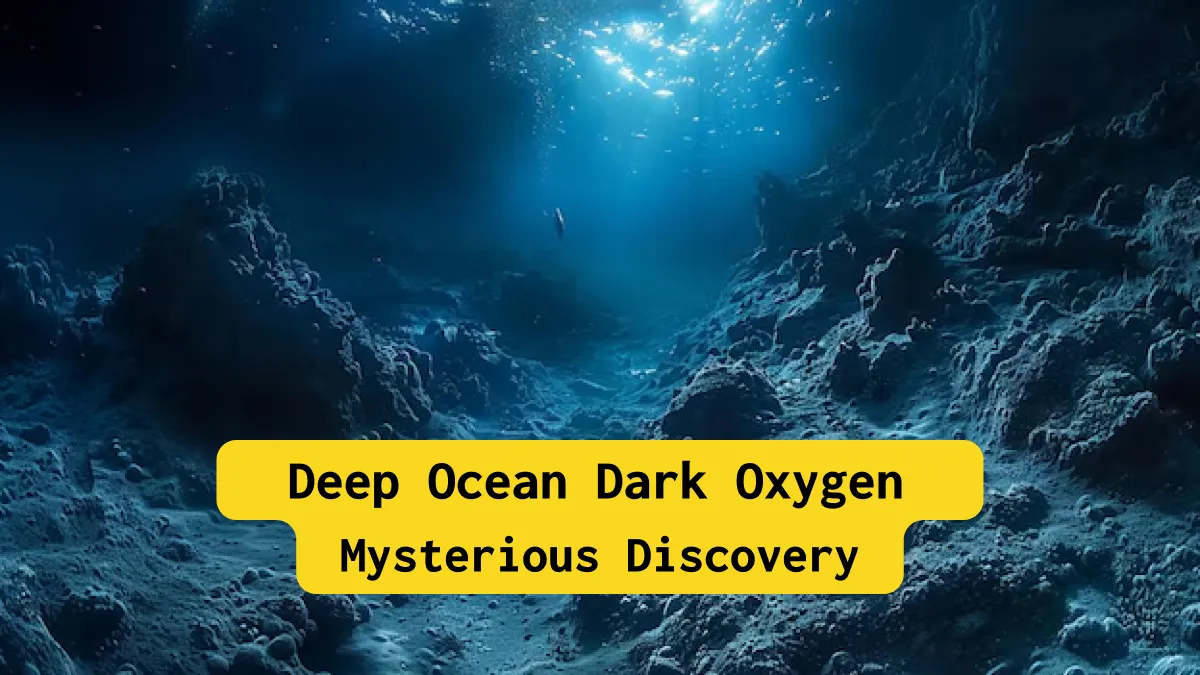 Deep Ocean Dark Oxygen_ A Mysterious Discovery