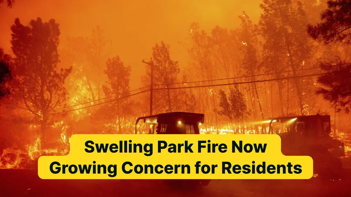 Swelling Park Fire Now_ Growing Concern for Residents