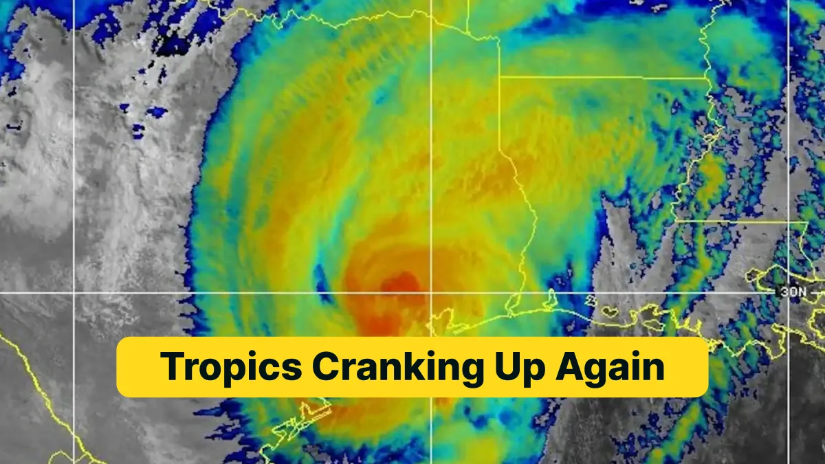 Tropics Cranking Up Again