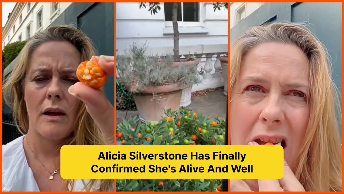 Alicia Silverstone Has Finally Confirmed She's Alive And Well