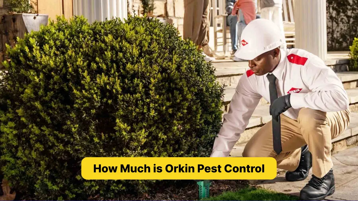 How Much is Orkin Pest Control