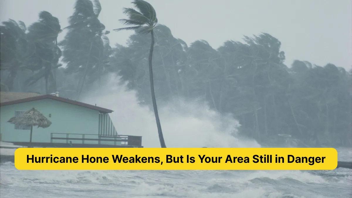 Hurricane Hone Weakens, But Is Your Area Still in Danger