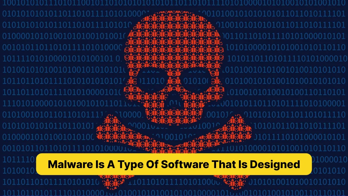 Malware is a type of software