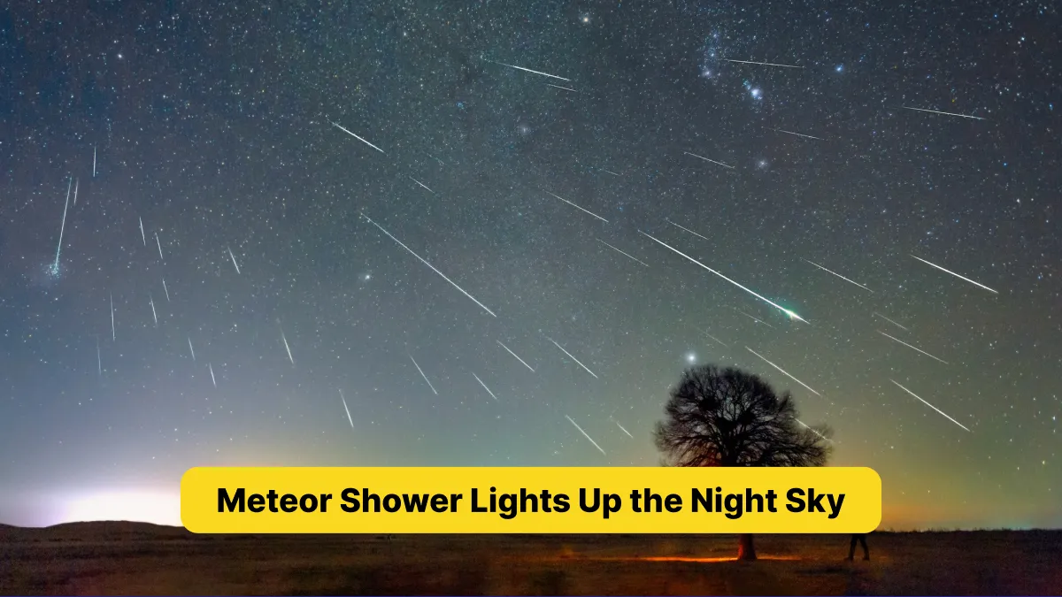 Meteor Shower Lights Up the Night Sky