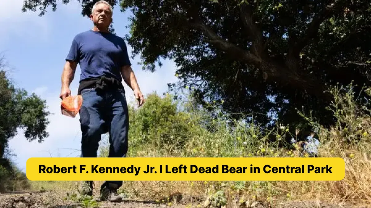 Robert F. Kennedy Jr. I Left Dead Bear in Central Park