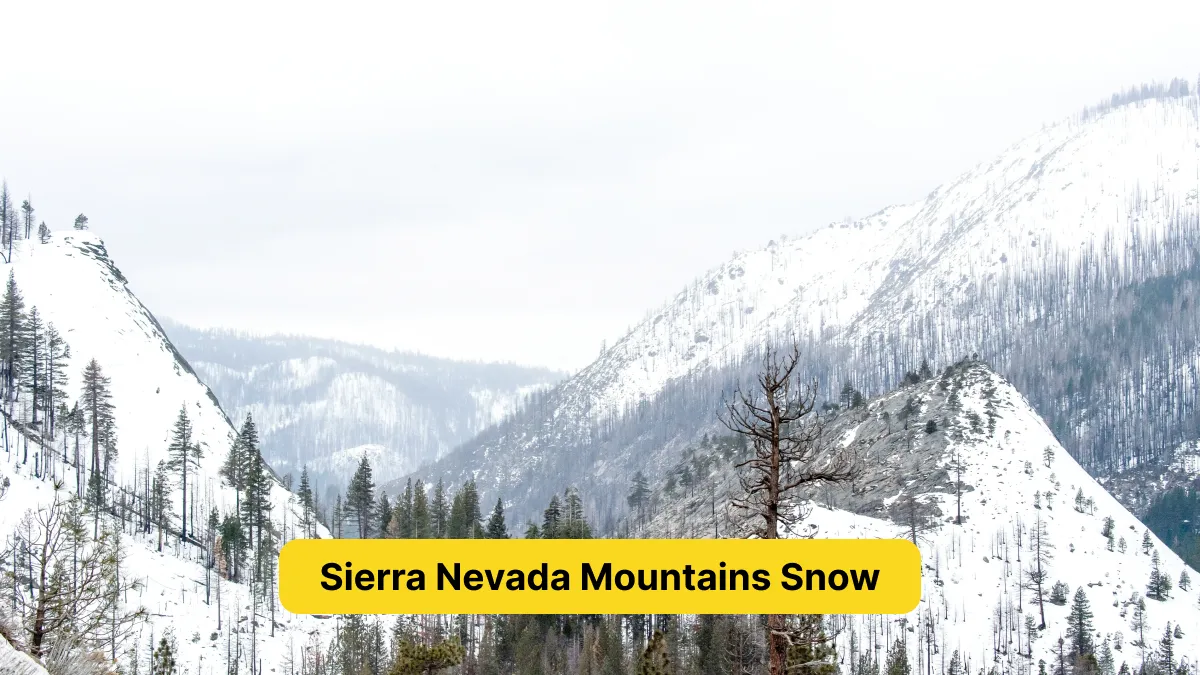 Sierra Nevada Mountains Snow